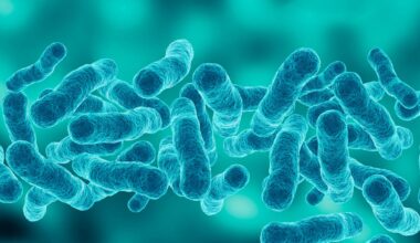 Legionnaires' cases probed in Central Harlem as infections hit 113