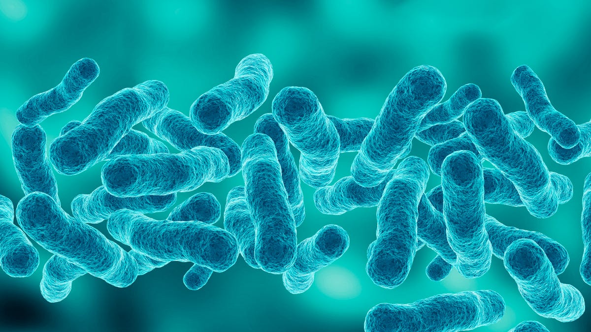 Legionnaires' cases probed in Central Harlem as infections hit 113