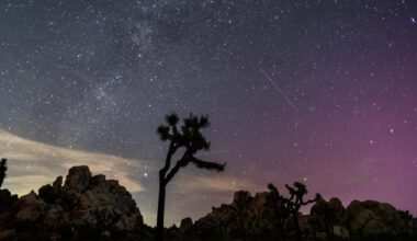 Perseid meteor shower 2025 peak dates, time, how to watch