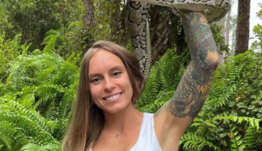 Who won the 2025 Florida Python Challenge?