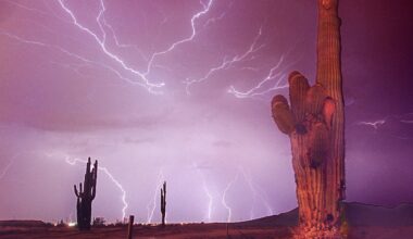 Will it rain in Phoenix this weekend Aug. 16?