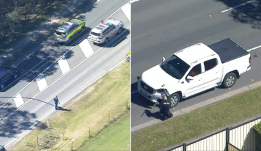 Man and child killed after being hit by ute in Regents Park, Queensland