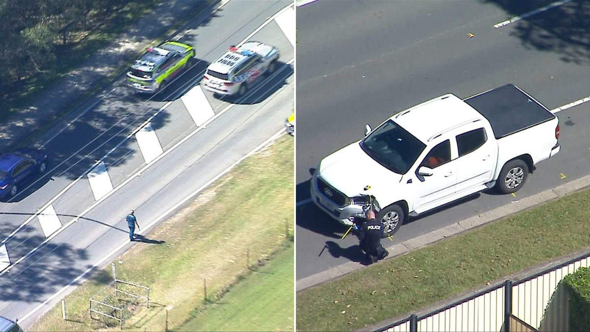 Man and child killed after being hit by ute in Regents Park, Queensland