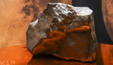 Mars rock found in Niger sells for millions in New York