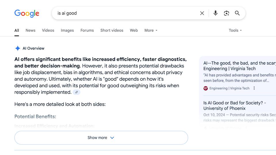 A Google AI Overview for the query 