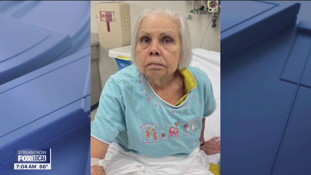 Elderly woman found in Chicago, police seek public's help