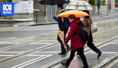 'Warmest weather in months' coming after record-breaking NSW rain