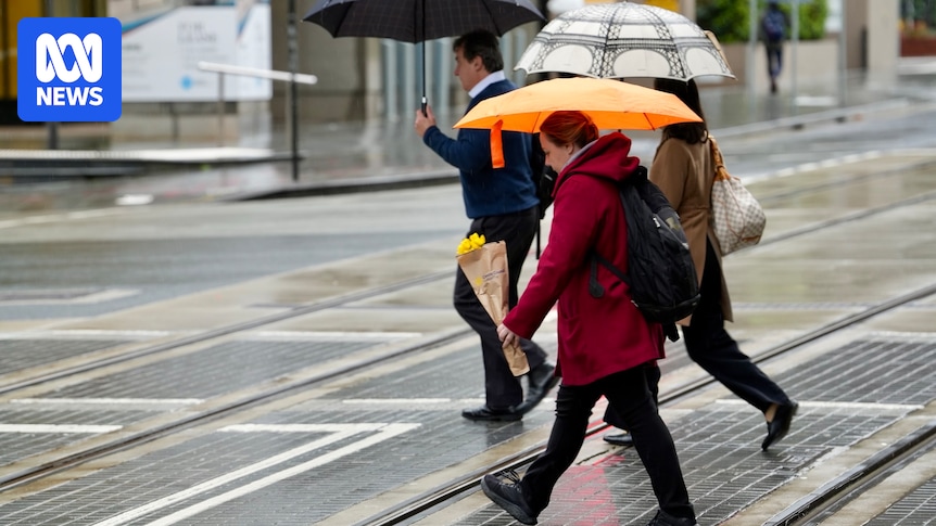 'Warmest weather in months' coming after record-breaking NSW rain