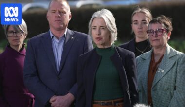 Tasmanian Labor's bid for minority government set to fail after Greens withhold support
