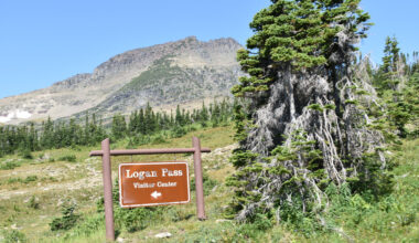 Glacier National Park warns of water shortages at Logan Pass