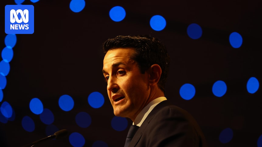 Federal Coalition gave up middle ground to appease conservative groups, Queensland premier says