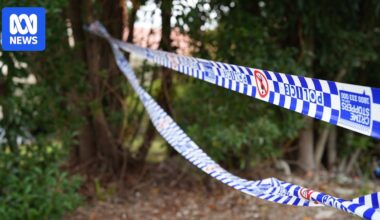 Teen dies, horse euthanased after horror three-vehicle crash at Wee Waa