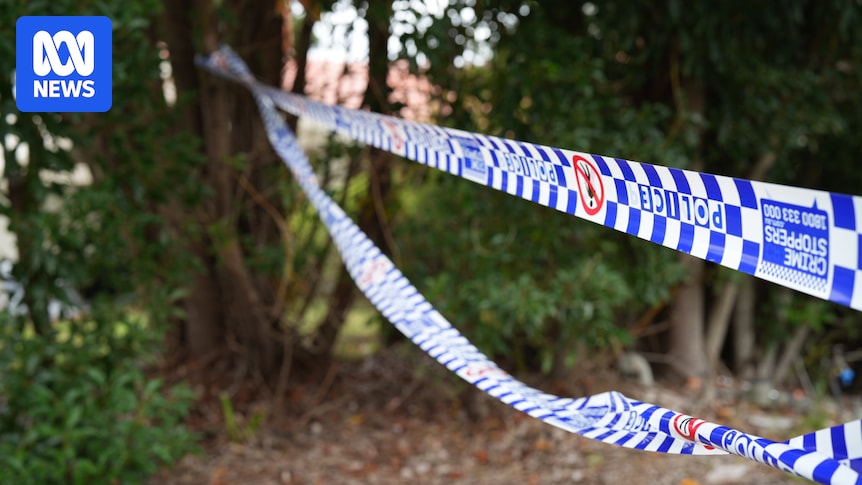 Teen dies, horse euthanased after horror three-vehicle crash at Wee Waa