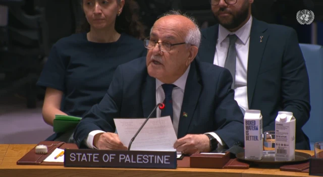 Riyad Mansour, Permanent Observer of Palestine to the United Nations