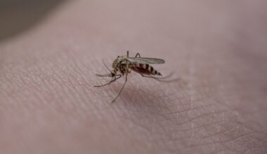 Duval health department issues warning after chickens test positive for West Nile virus