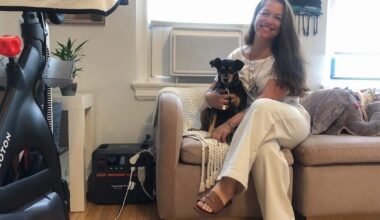 NYC utility tests portable home batteries to dull AC’s…