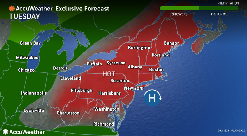 forecast
