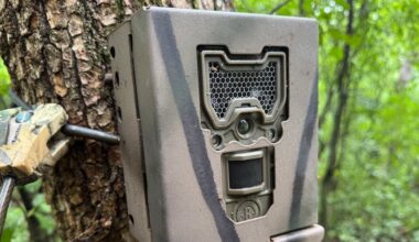 Snapshot Wisconsin trail cameras capture over 100 million wildlife photos