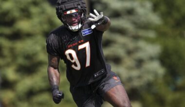 Bengals rookie report: Grading Shemar Stewart, Demetrius Knight and the rest so far