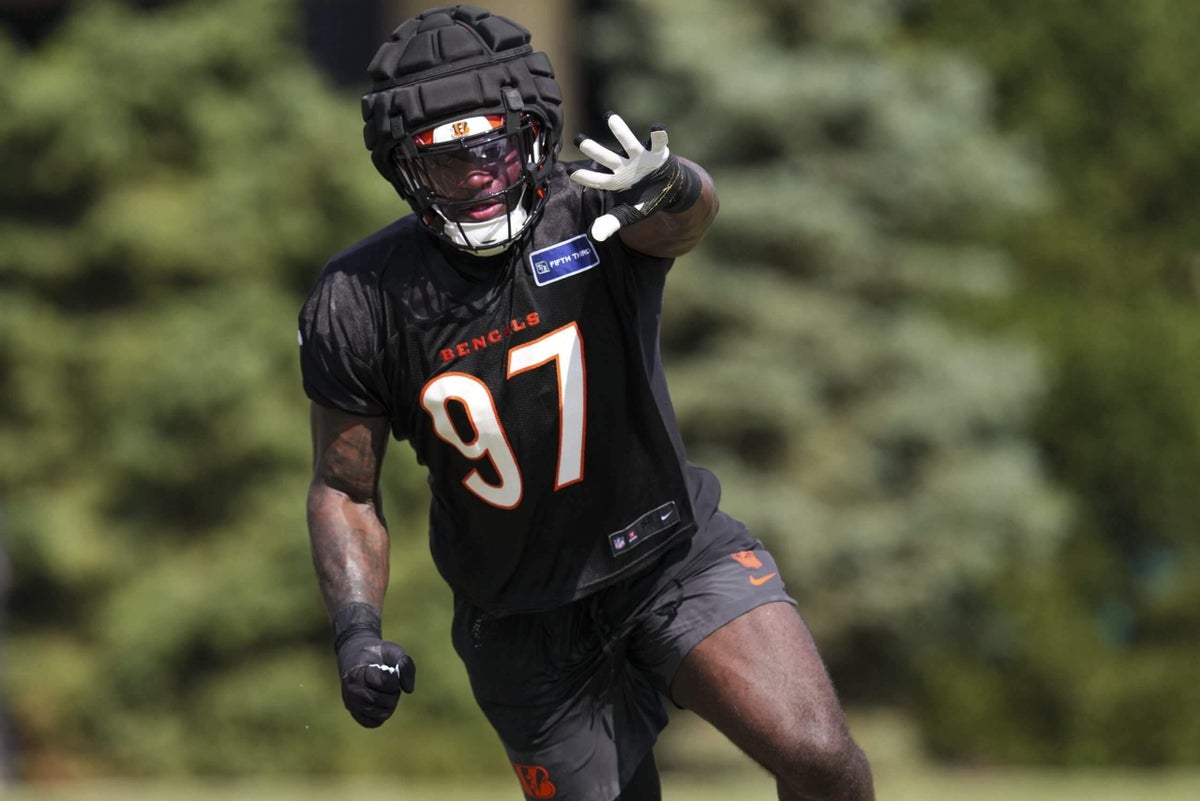 Bengals rookie report: Grading Shemar Stewart, Demetrius Knight and the rest so far