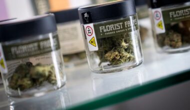 Marijuana shops sue NY after they were allowed to open close to schools – NBC New York