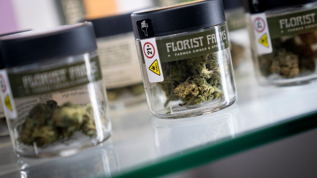 Marijuana shops sue NY after they were allowed to open close to schools – NBC New York
