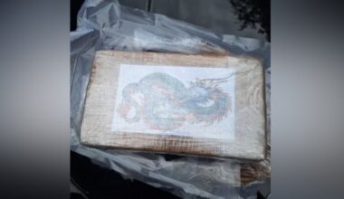 Massive brick of cocaine found in middle of Abbotsford street, police say