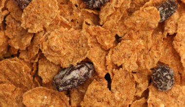 Ultra-processed foods put to the test, come up short
