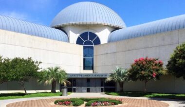 Dallas' African American Museum Gets $3M to Preserve and Digitize Its 50‑Year Collection » Dallas Innovates