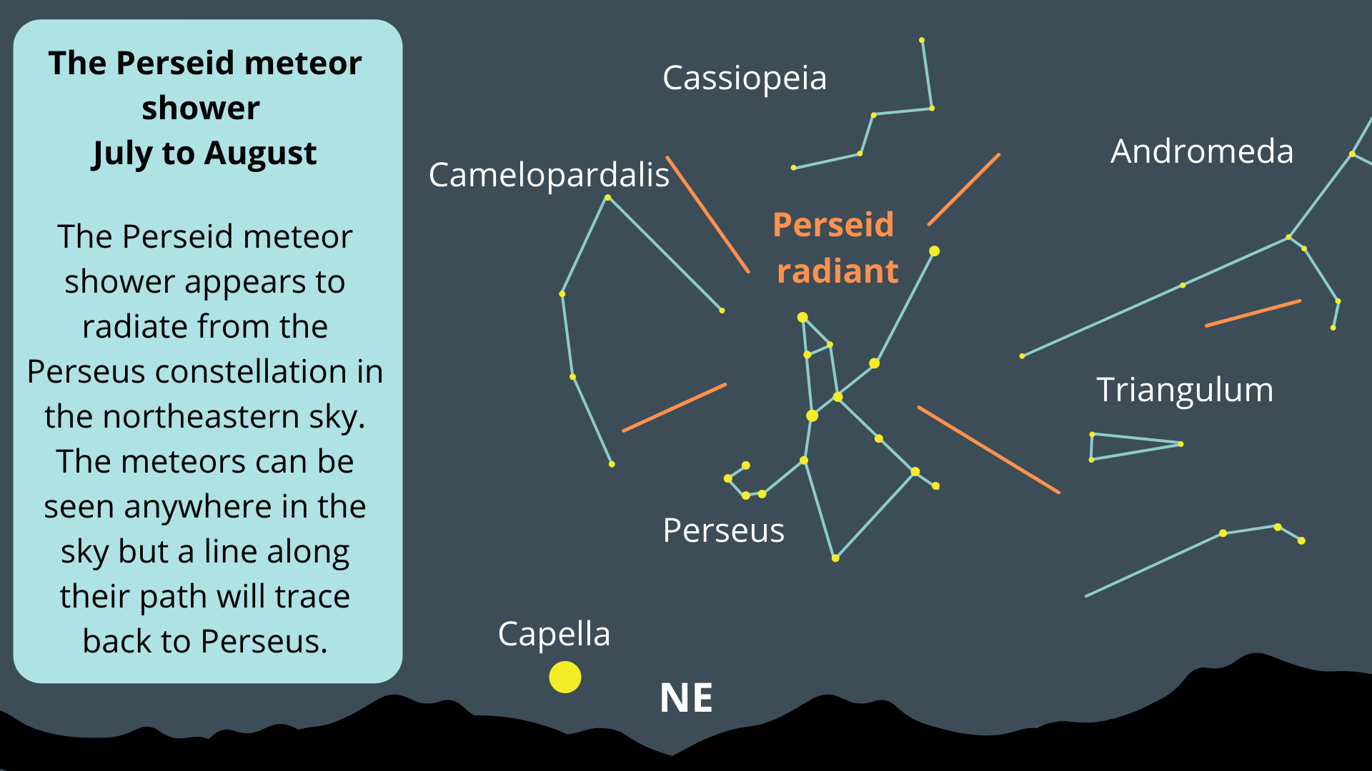 The Perseids' radiant is in the Perseus Constellation, this is where most of the meteors will appear to radiate from.