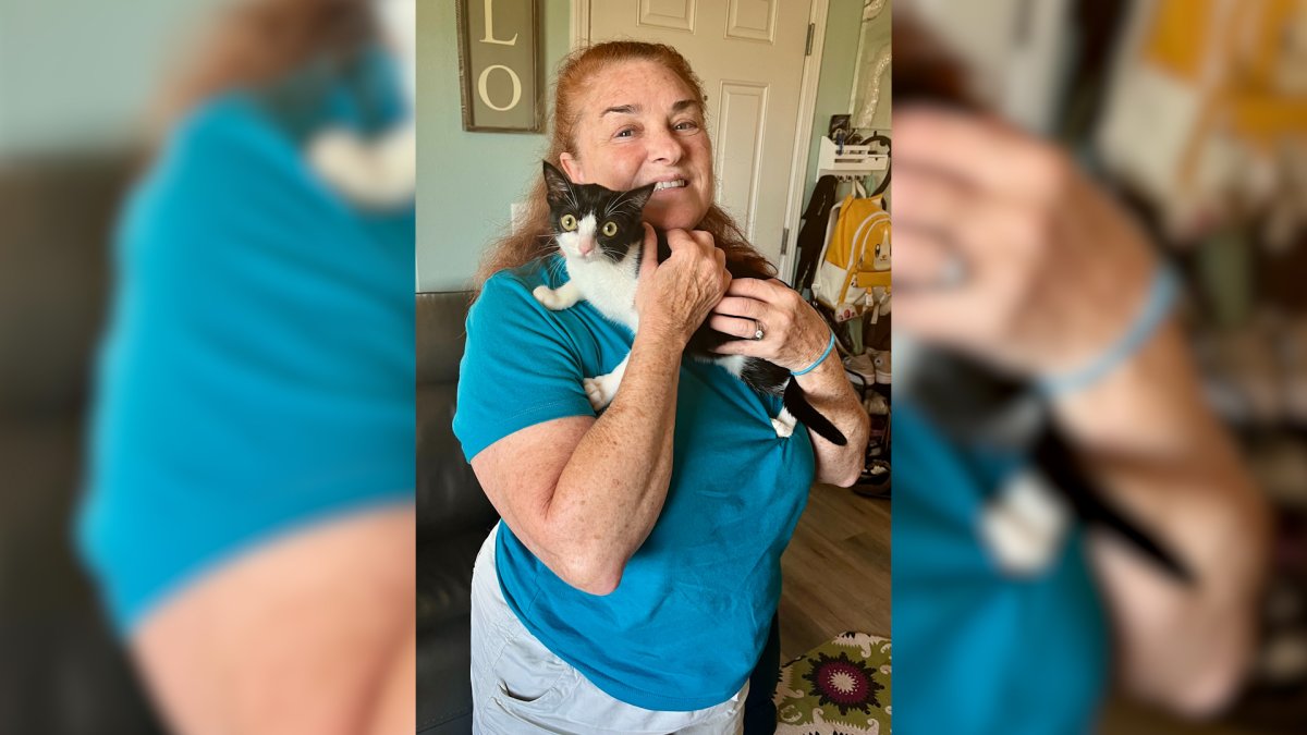 Kitten born with twisted legs finds her forever home – NBC 7 San Diego