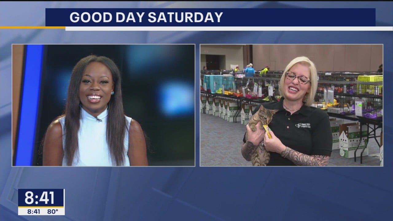 Humane society of north texas hosts mega adoption event this weekend