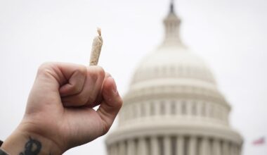 MAGA Freaks Out Over Donald Trump’s Plot to Reclassify Weed
