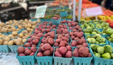 NYC tightens food standards, bans artificial colors and sweeteners in city-served meals