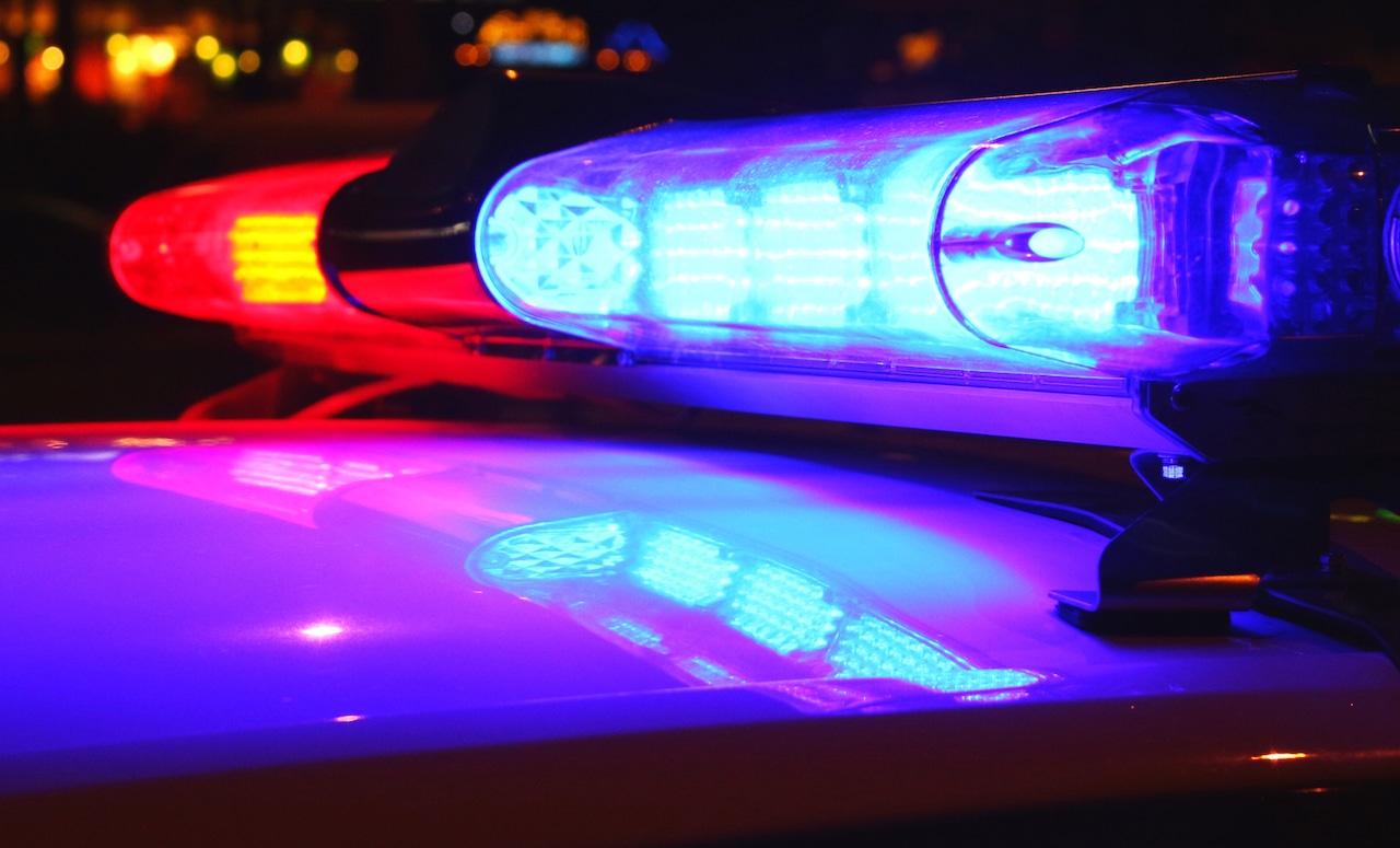Owners of Upstate NY dog boarding facility charged in deaths of 21 dogs
