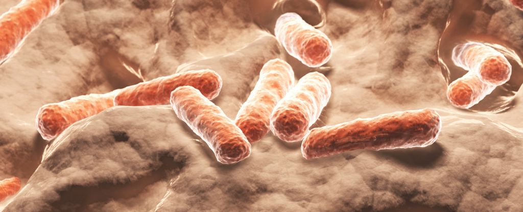 Scientists May Have Identified a Natural Alternative to Ozempic : ScienceAlert