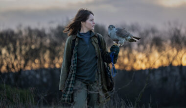 H is for Hawk
