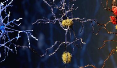 Brain Autopsies Revealed a Potential Culprit Behind Alzheimer's : ScienceAlert