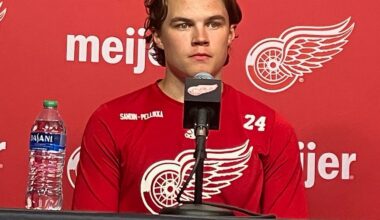 Red Wings ponder best path to NHL for Axel Sandin Pellikka