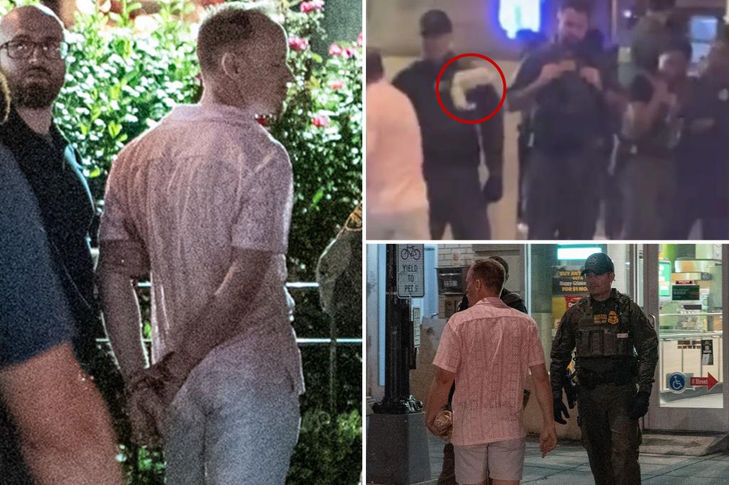 DC man Sean Charles Dunn charged with felony assault after hitting federal agent with Subway sandwich