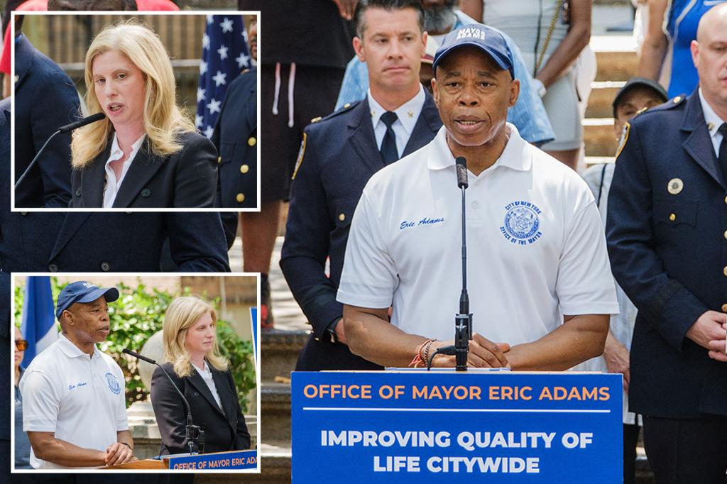 NYPD's quality-of-life cops now covering all of Brooklyn: 'It's working'