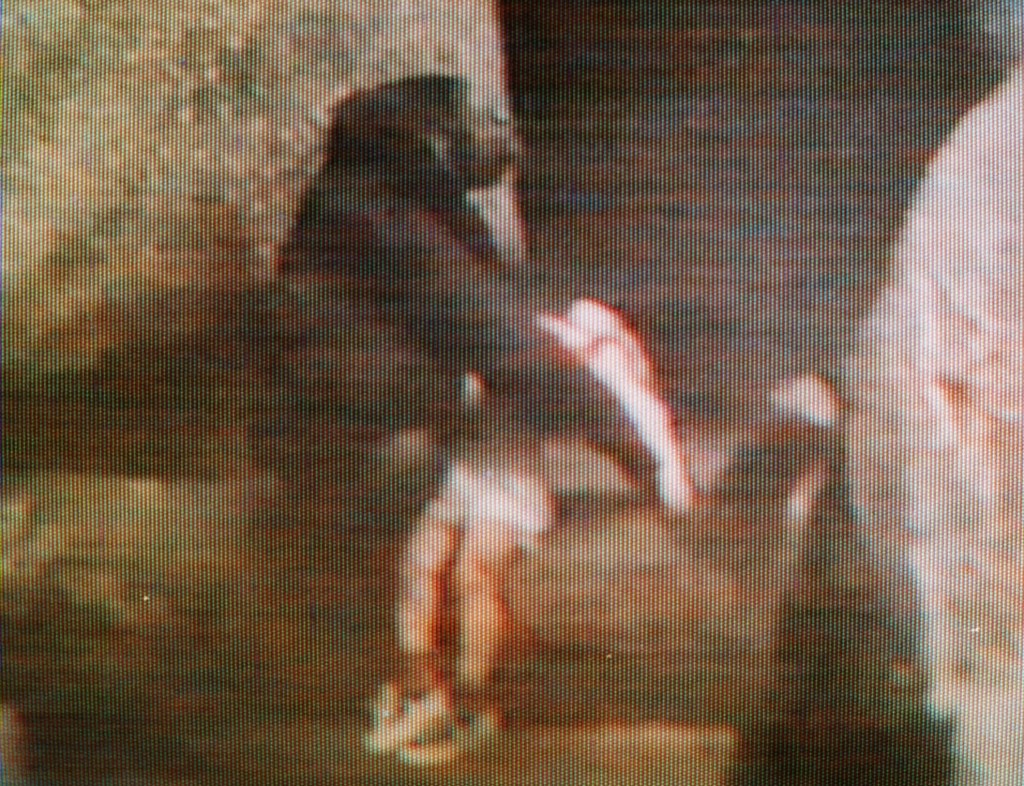 Brookfield Zoo gorilla cradles small child who fell into her Tropic World habitat