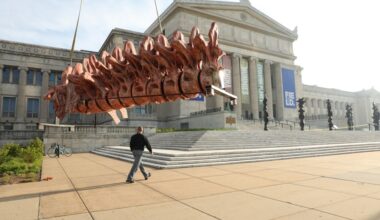 Gift brings titanosaur to Field Museum