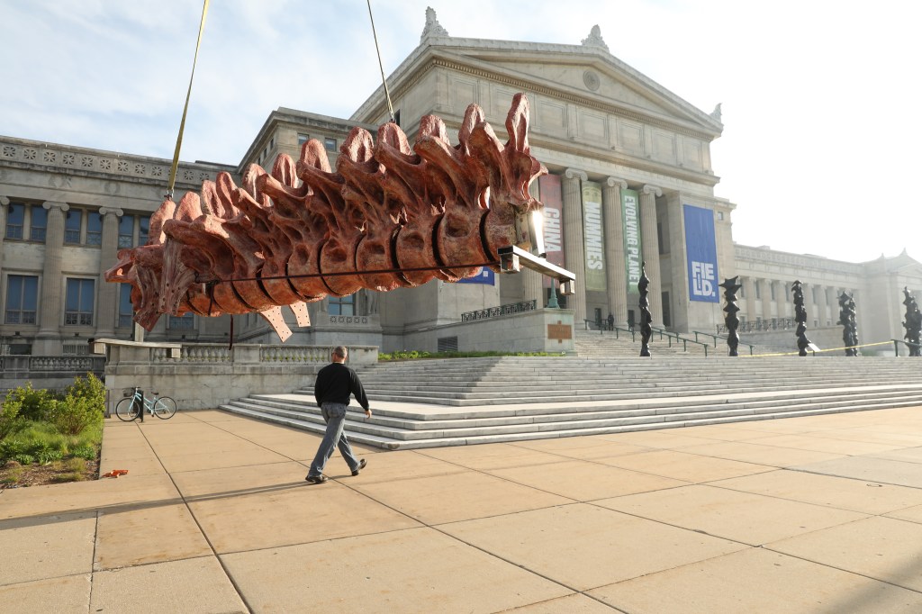 Gift brings titanosaur to Field Museum
