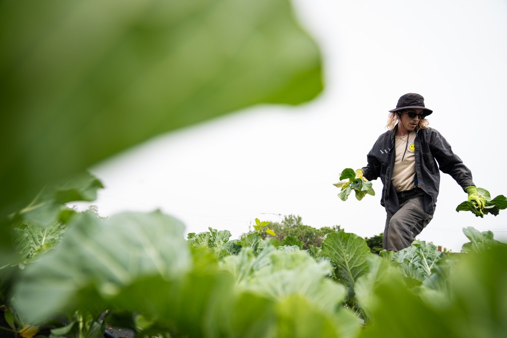 New generation of LGBTQ farmers is more visible and vocal