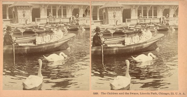 A family floats along in a boat at Lincoln Park Zoo in Chicago as a pair of swans swim by, circa 1890. (Library of Congress)