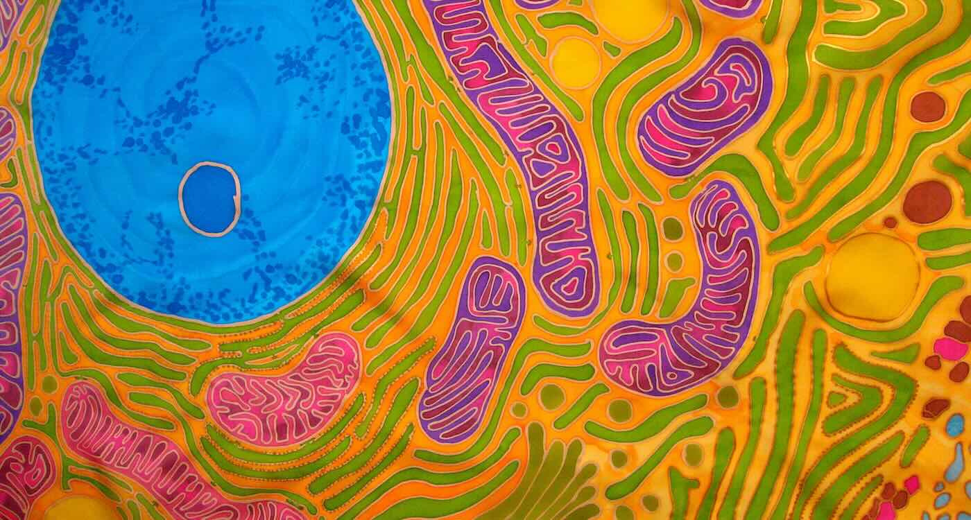 Cell Powerhouses Can Be Harnessed for Healing