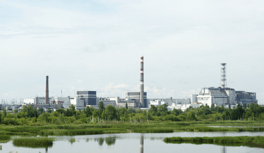 Almost immune to cancer and over 390 different genes: the unique characteristics of the Chernobyl dogs.