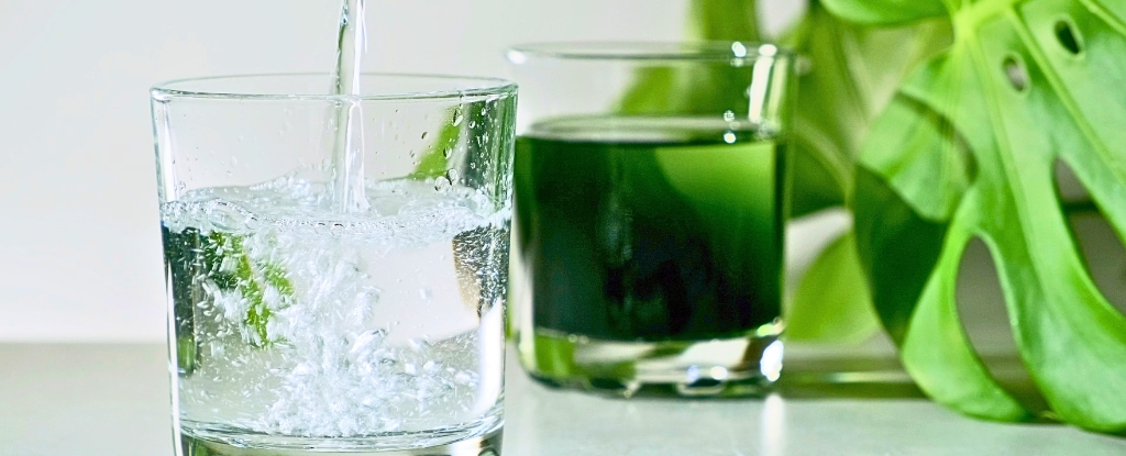 Does Science Back TikTok's Favorite Supplements? : ScienceAlert