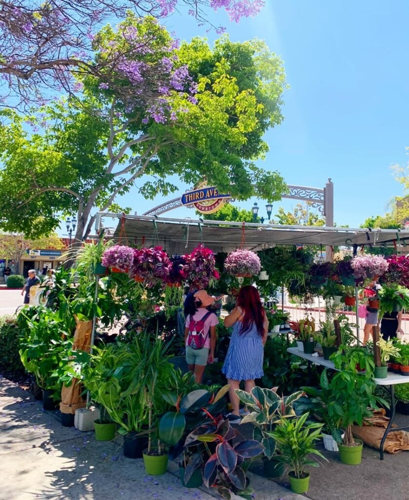 Chula Vista Farmer's Market